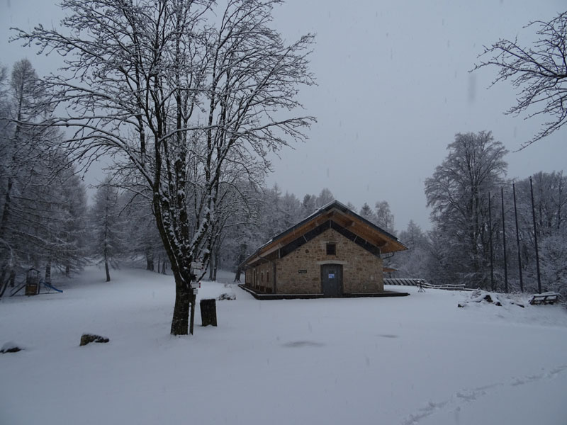 breve passeggiata tra la neve fresca di oggi.....